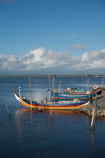 Fishing boats in a harbor